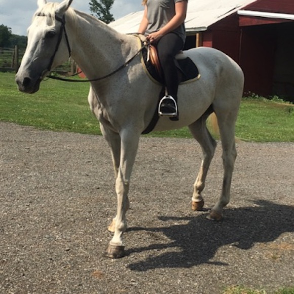 Meet your Posher, Hannah - Picture 1 of 1